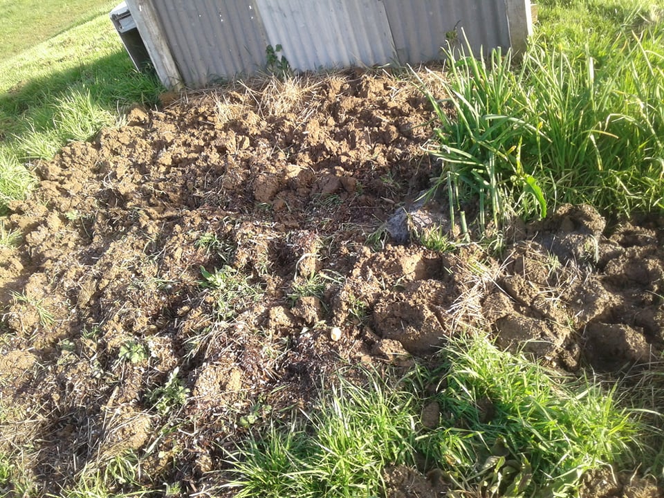 Barker Family Adventures