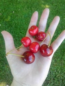 barker family adventures