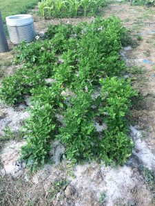 barker family adventures